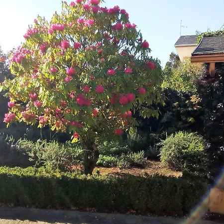 Atmospheric In Galicia With Private Pool Villa *